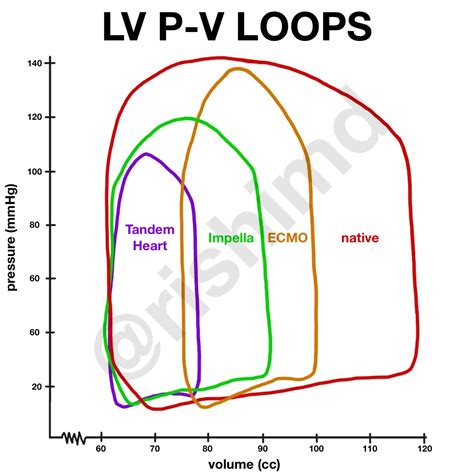 lv pv loop